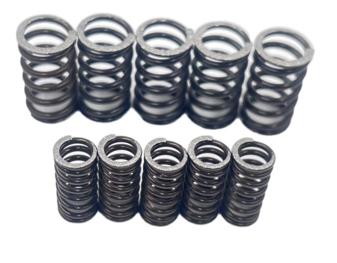 Kit Molle Frizione FB24 Fabbri Racing | Ricambio Originale