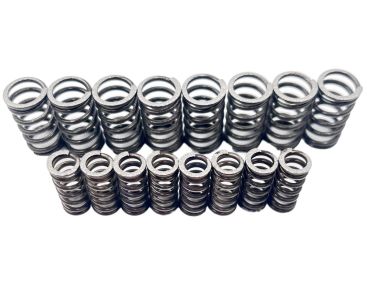Kit Molle Frizione FB45 Fabbri Racing | Linea Competizione