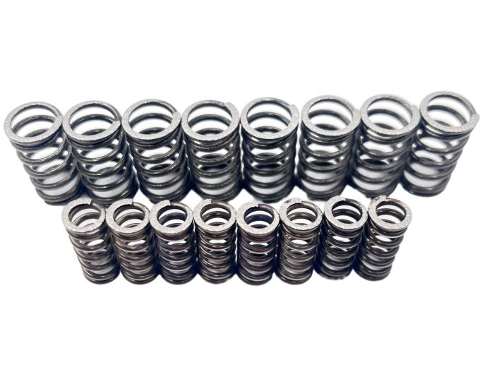 Kit Molle Frizione FB45 Fabbri Racing | Linea Competizione