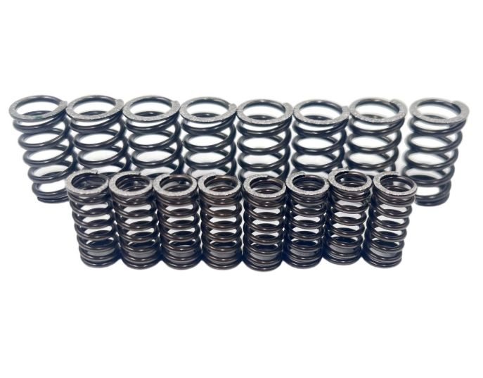 Kit Molle Frizione FB36 Fabbri Racing | Ricambio Originale