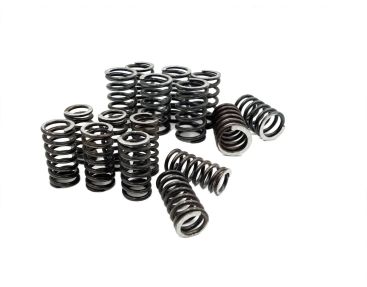 Kit Molle Frizione FB36 Fabbri Racing | Ricambio Originale